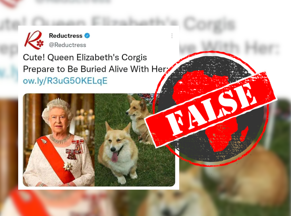 Picture of: No, queen Elizabeth’s corgis won’t be buried alive with her